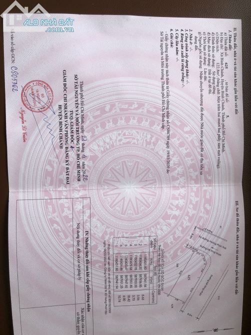 3766710 ảnh đại diện 1