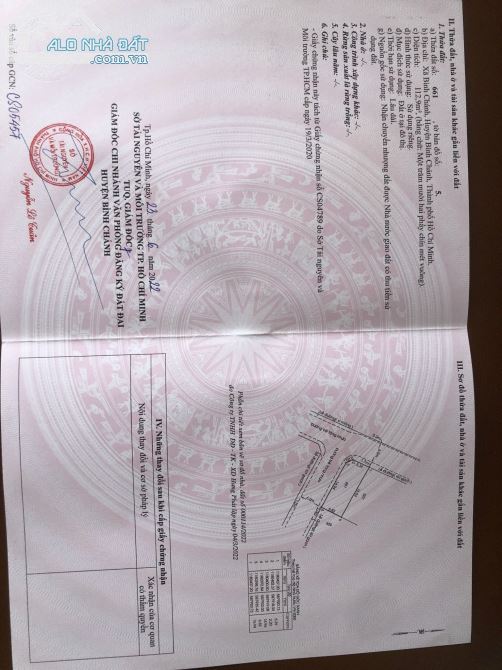 3766710 ảnh đại diện 1