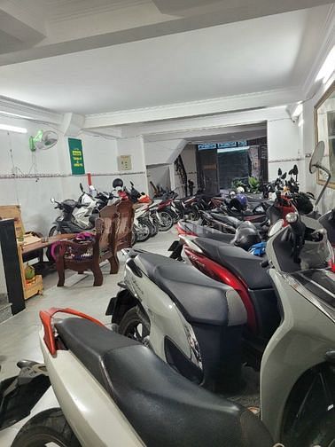3761810 ảnh đại diện 1