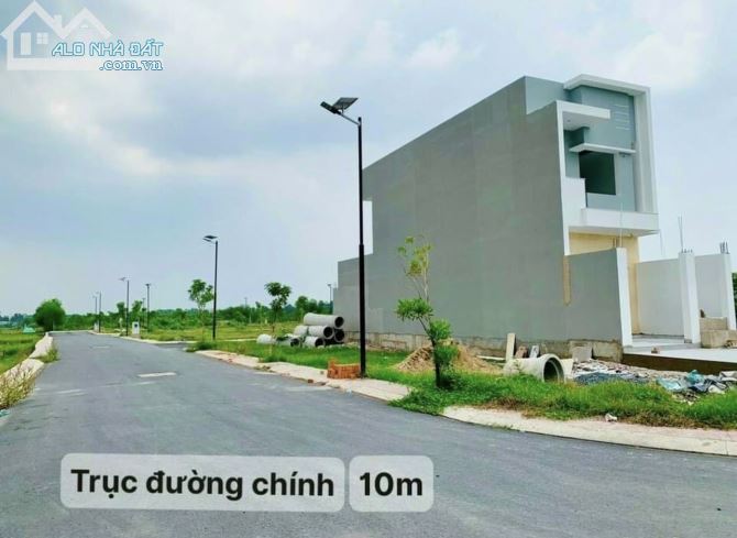 3766710 ảnh đại diện 2