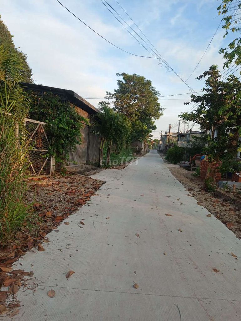 3761827 ảnh đại diện 1