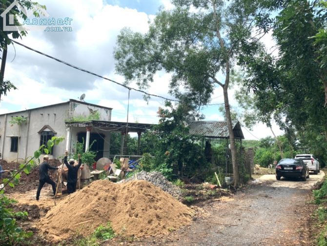 3761944 ảnh đại diện 1