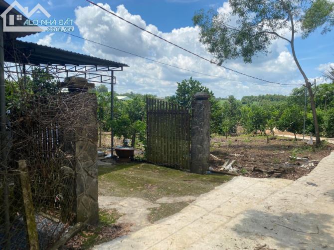 3761944 ảnh đại diện 2