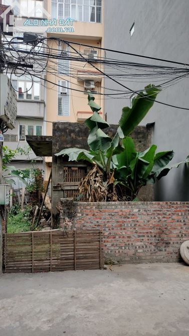 3761782 ảnh đại diện 1