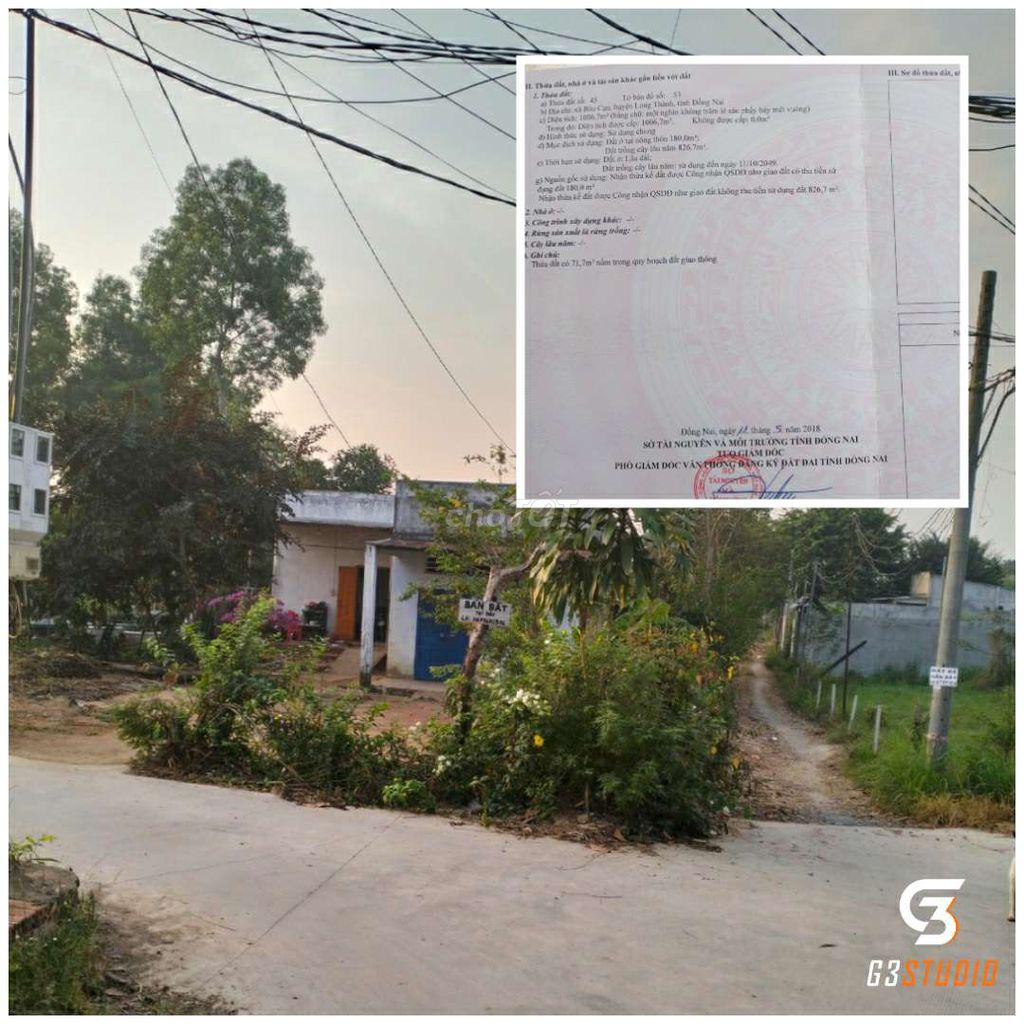 3761827 ảnh đại diện 2