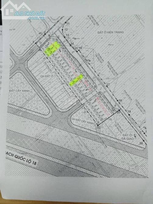 3772802 ảnh đại diện 2