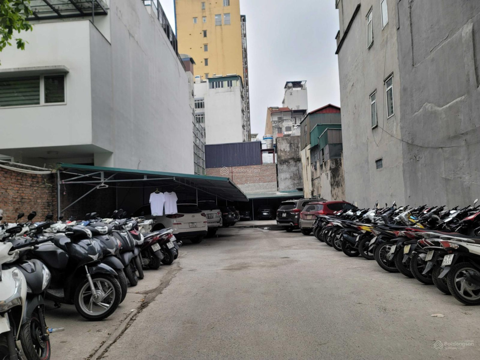 3771678 ảnh đại diện 1