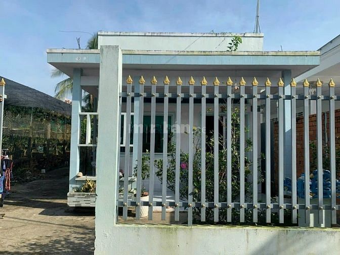 3767489 ảnh đại diện 1