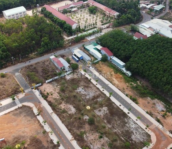 3770721 ảnh đại diện 1