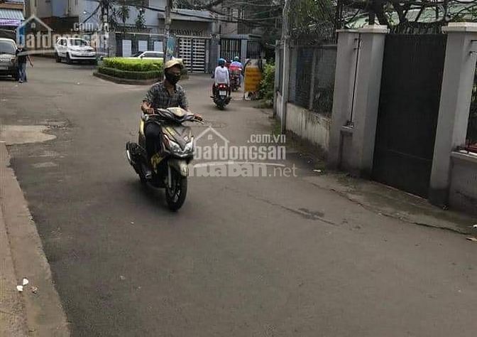 3769012 ảnh đại diện 1