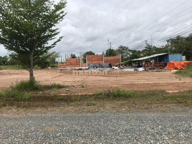 3770721 ảnh đại diện 2
