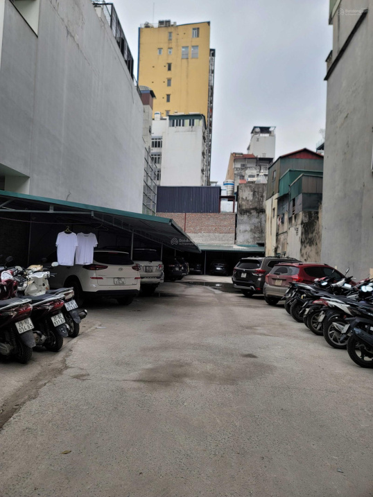 3771678 ảnh đại diện 2