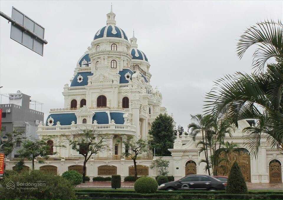 3772995 ảnh đại diện 2