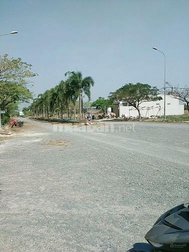 3770721 ảnh đại diện 1