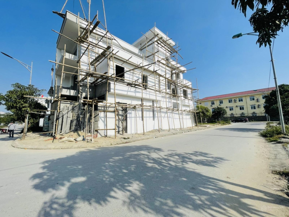 3771099 ảnh đại diện 1