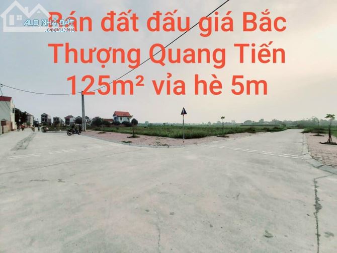 3772802 ảnh đại diện 1