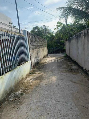 3767489 ảnh đại diện 1