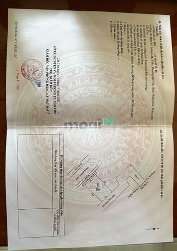 3772935 ảnh đại diện 2