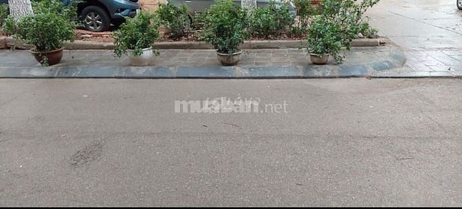 3769047 ảnh đại diện 2
