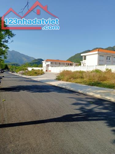 3773473 ảnh đại diện 1
