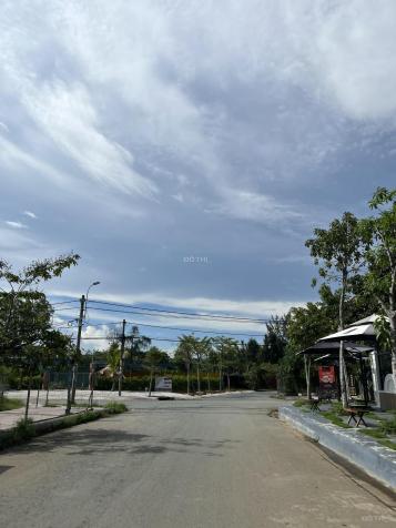 3774887 ảnh đại diện 2