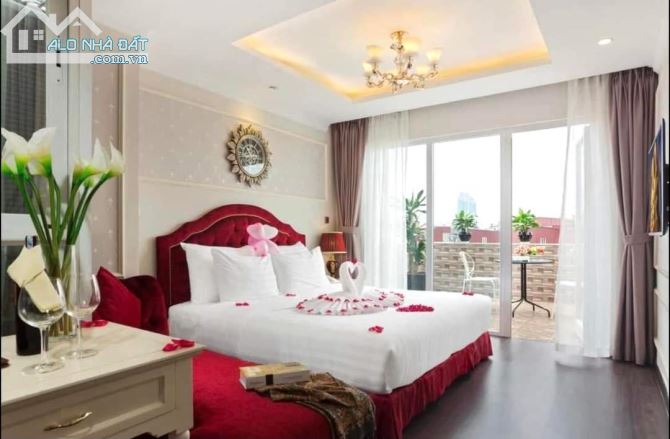 3774569 ảnh đại diện 1