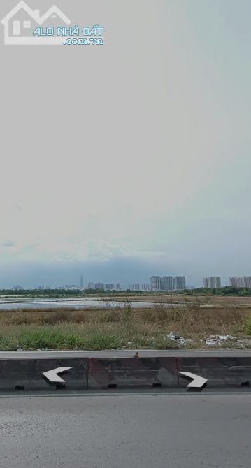 3774353 ảnh đại diện 1
