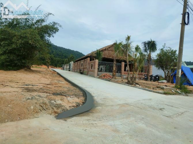 3773897 ảnh đại diện 2