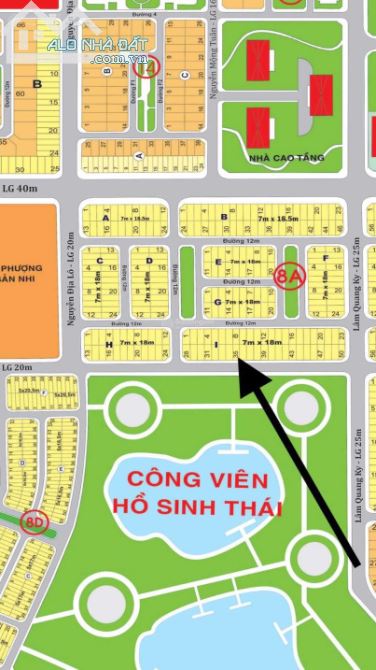 3775756 ảnh đại diện 1