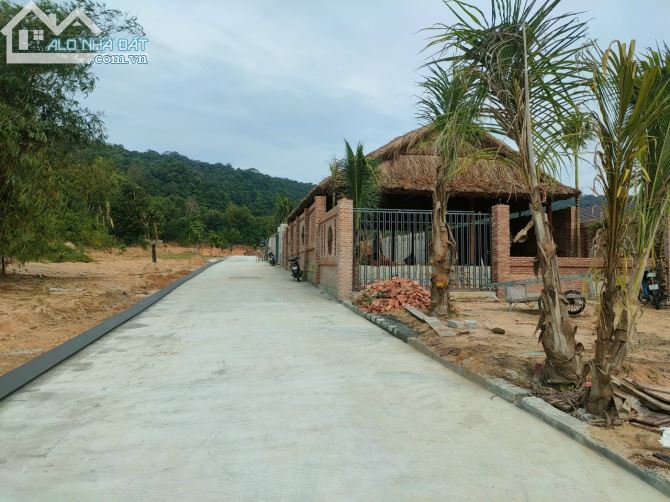 3773897 ảnh đại diện 1