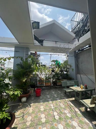 3773498 ảnh đại diện 2