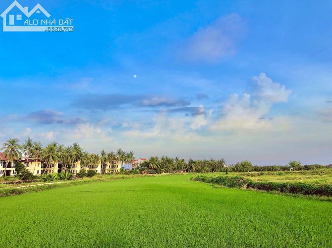 Bán Đất View Lúa + View Sông 241M Cẩm Châu - Hội An. Giá Tốt Nhất Thị Trường.