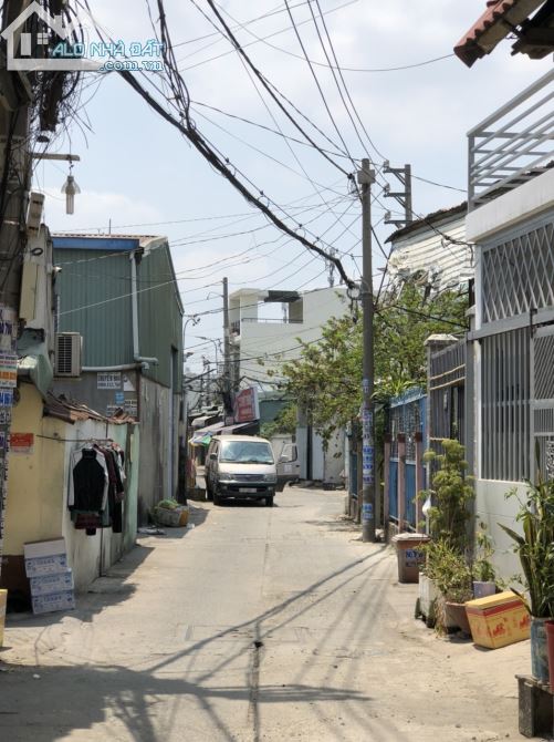 3776803 ảnh đại diện 1