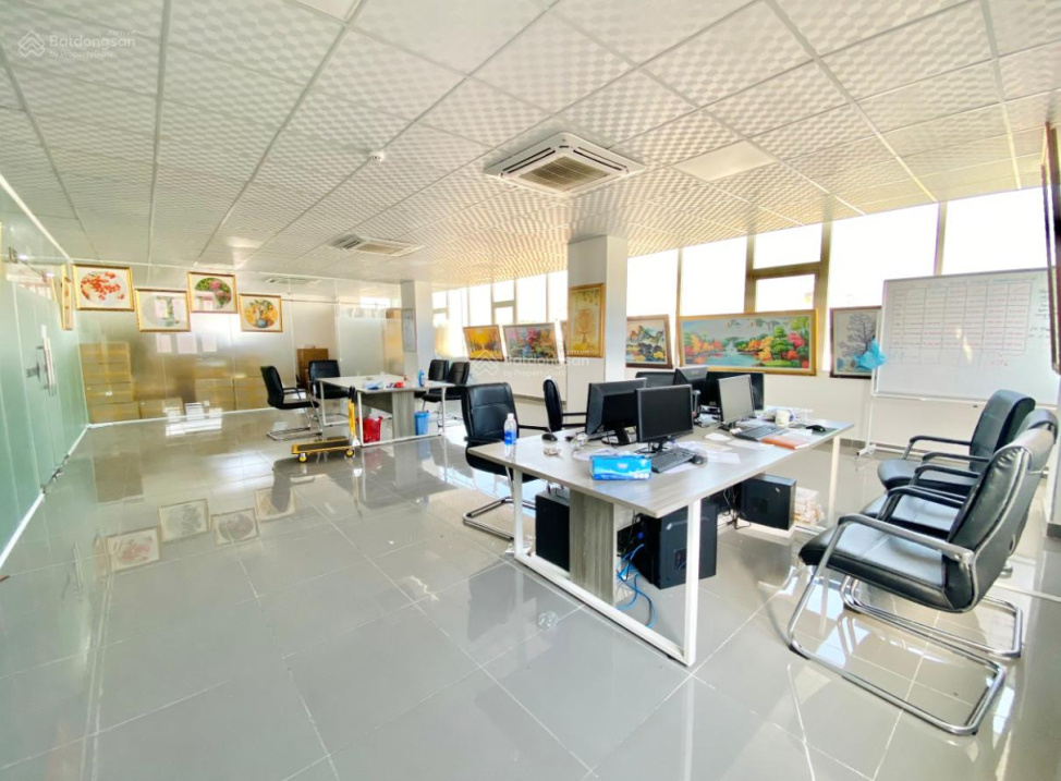 3774953 ảnh đại diện 1