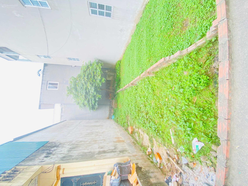 3774799 ảnh đại diện 1