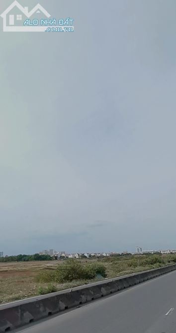 3774353 ảnh đại diện 2