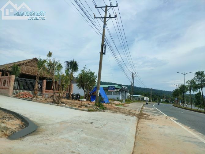 3773897 ảnh đại diện 1