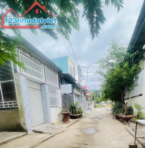 3773473 ảnh đại diện 2