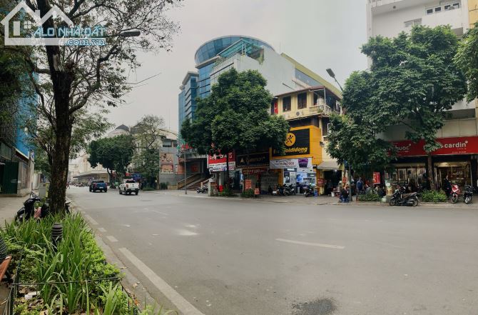 3774561 ảnh đại diện 2