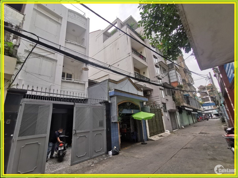 3781037 ảnh đại diện 1