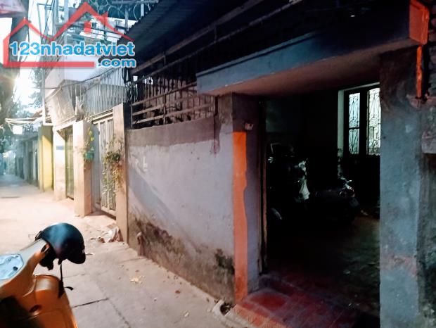 3778705 ảnh đại diện 1