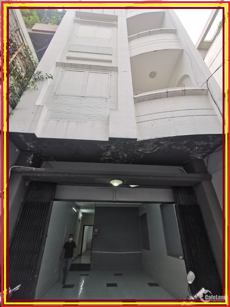 3781037 ảnh đại diện 1