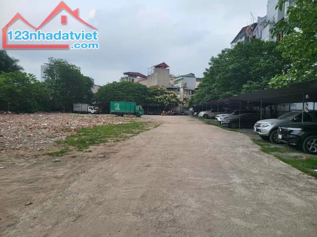 3779119 ảnh đại diện 1