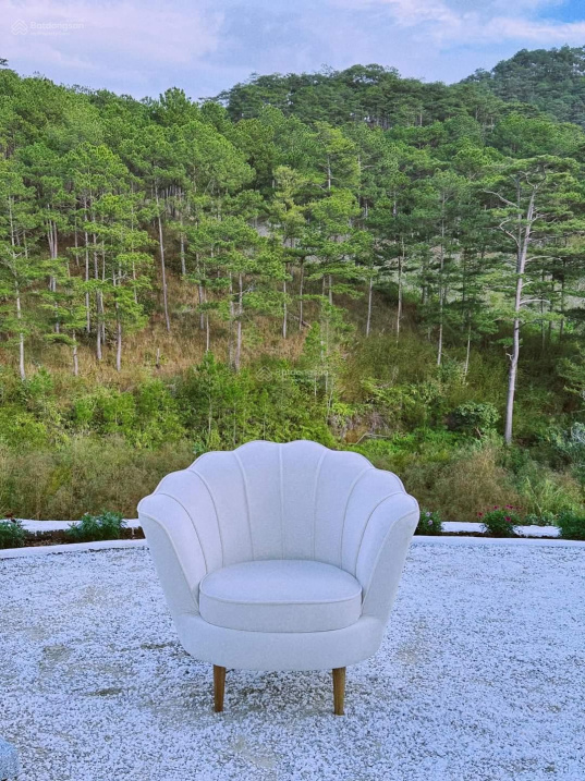 3780203 ảnh đại diện 1