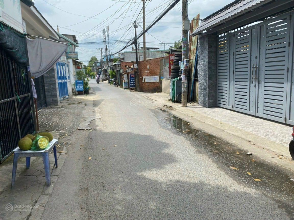 3777321 ảnh đại diện 1