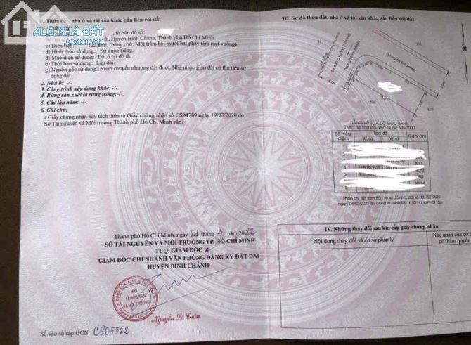 3779780 ảnh đại diện 1
