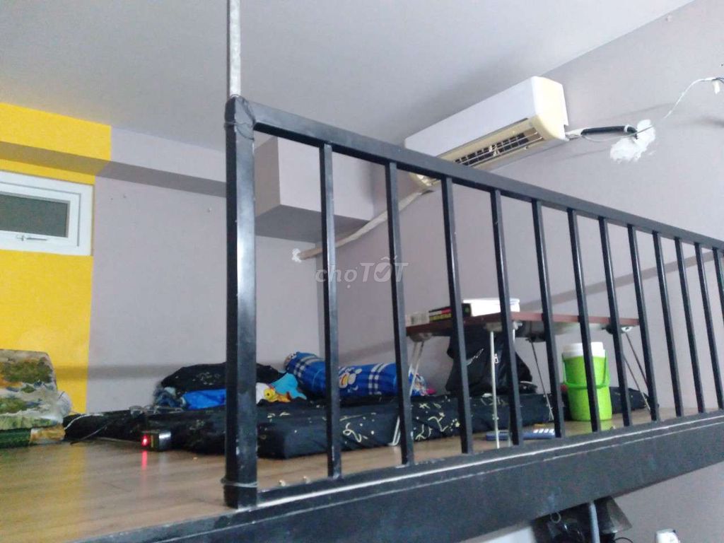 3780817 ảnh đại diện 1