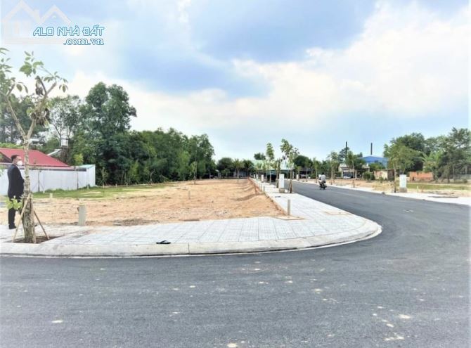 3779780 ảnh đại diện 1