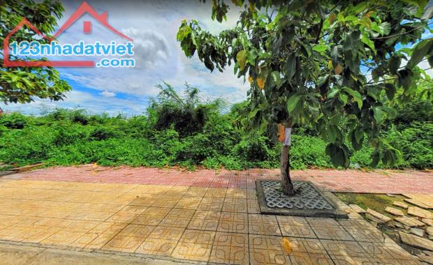 3779254 ảnh đại diện 1