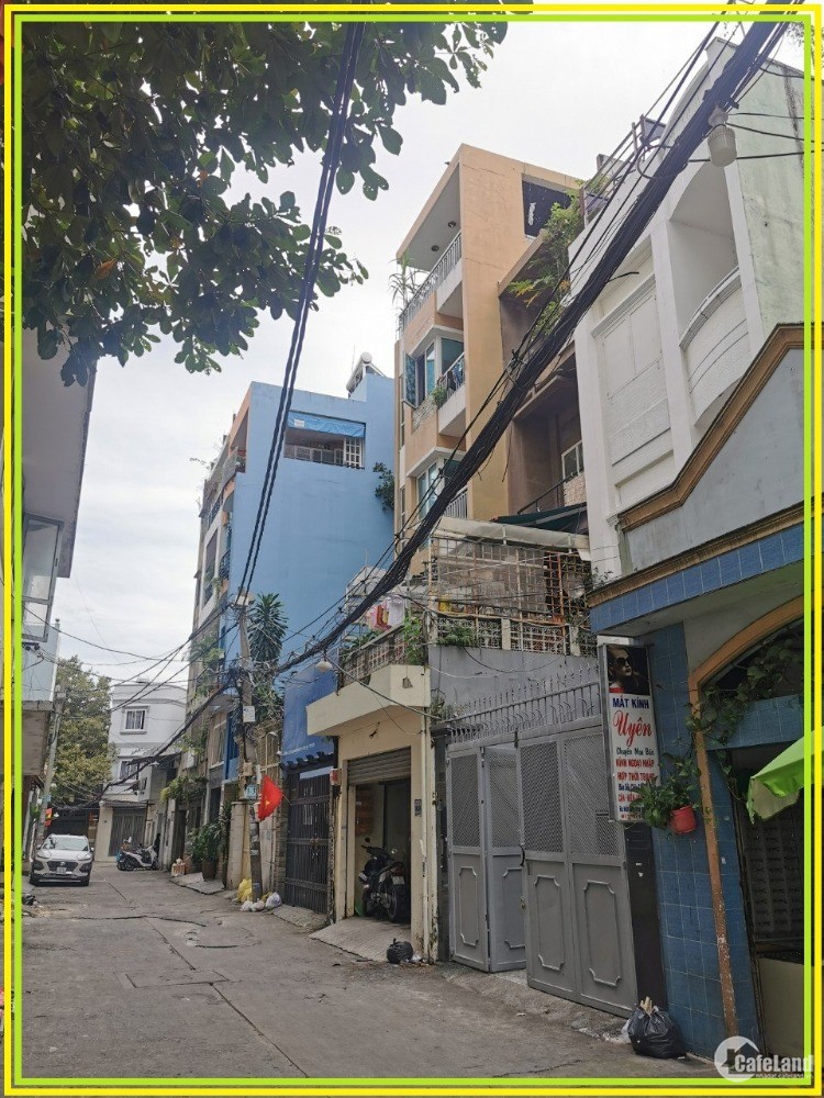 3781037 ảnh đại diện 2